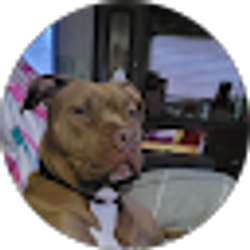 Profile photo of Rachelle Proctor
