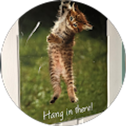 Profile photo of Jimmy Wares