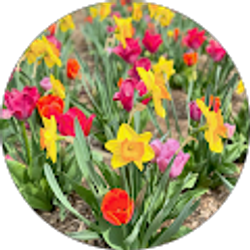 Profile photo of Amber Twitty