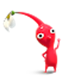 Profile photo of BlissSTS