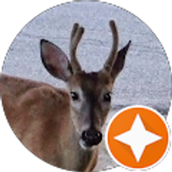 Profile photo of P. Cordo