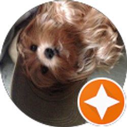 Profile photo of Doris Nicchia