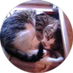 Profile photo of Laura Morrow