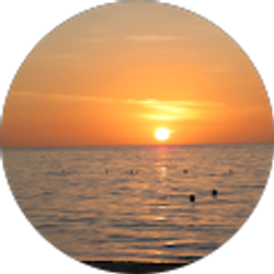 Profile photo of Austin O'Gorman