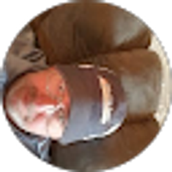 Profile photo of Tony Wilkerson