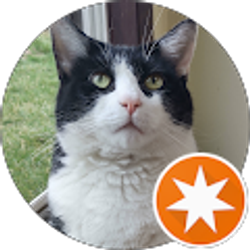 Profile photo of Mr B