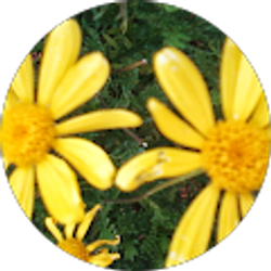 Profile photo of April Jollie