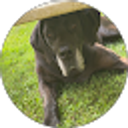 Profile photo of Summer Hopkins