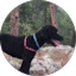 Profile photo of Emily Petty