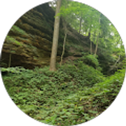 Profile photo of elaina anderson