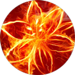 Profile photo of Terrie Hitesman