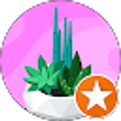 Profile photo of C Crow