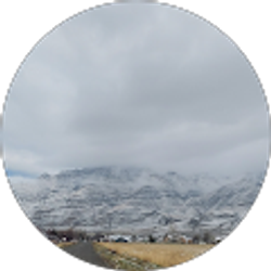 Profile photo of Jose Molina