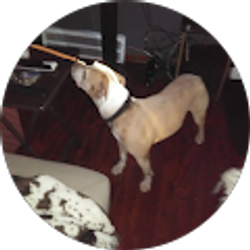 Profile photo of Earl Williams