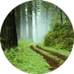 Profile photo of Wade K