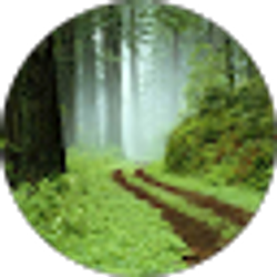 Profile photo of Wade K