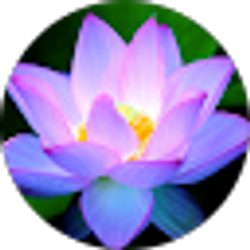 Profile photo of Candice Andrews