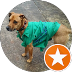 Profile photo of max perethian