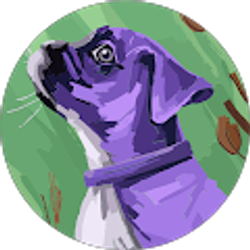 Profile photo of Memo Cortez