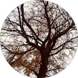 Profile photo of E A R L