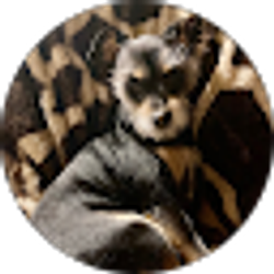 Profile photo of ASHLEY TRIPPEL