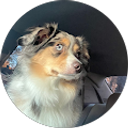 Profile photo of Daren Nowak