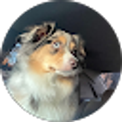 Profile photo of Daren Nowak