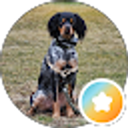 Profile photo of Cheryl Rathjen