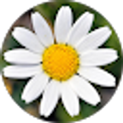 Profile photo of Hannah Barrientos