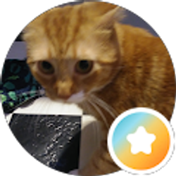 Profile photo of Laura Lee