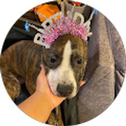 Profile photo of Breana Haywood