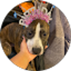 Profile photo of Breana Haywood