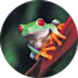 Profile photo of Barbara Yacobellis
