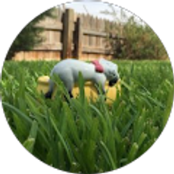 Profile photo of danny gaona