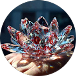 Profile photo of Camilli Lew