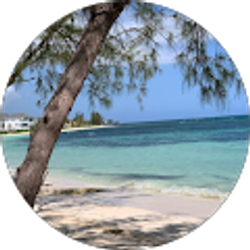 Profile photo of C Cains