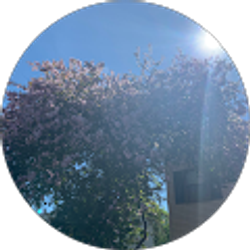 Profile photo of Hejing Zheng