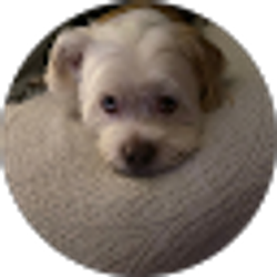 Profile photo of Cathy Berry