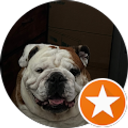 Profile photo of Ray Volberg