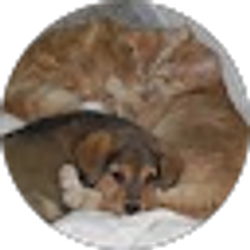 Profile photo of Lila Jean