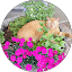 Profile photo of Lisa Ryals