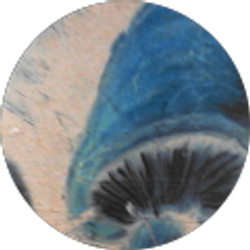 Profile photo of James Biggs