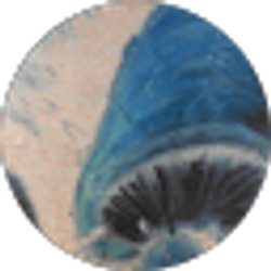 Profile photo of James Biggs