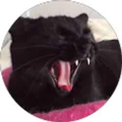 Profile photo of Michele Domaracki