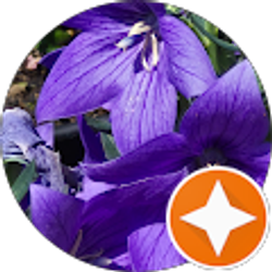 Profile photo of Nicole Kozlowski