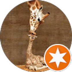 Profile photo of Christi Bush-Makin