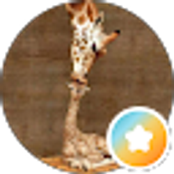 Profile photo of Christi Bush-Makin