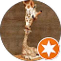 Profile photo of Christi Bush-Makin