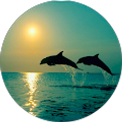 Profile photo of Arta Peraj