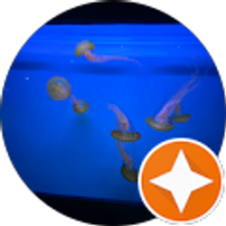 Profile photo of RitzDitz